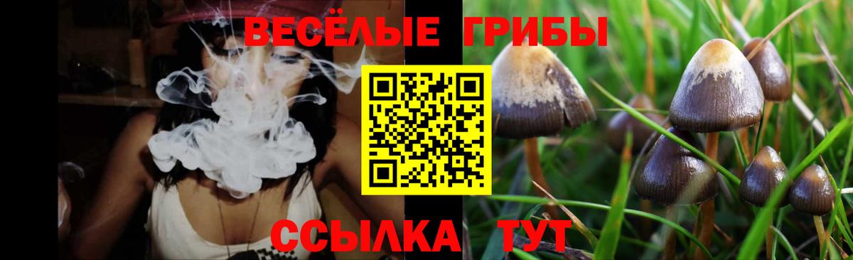 Псилоцибиновые грибы мицелий Кирово-Чепецк