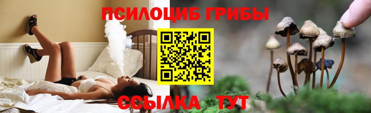 Кирово-Чепецк  Псилоцибиновые грибы прущие грибы  Вход с VPN  Галлюциногенные грибы прущие грибы 